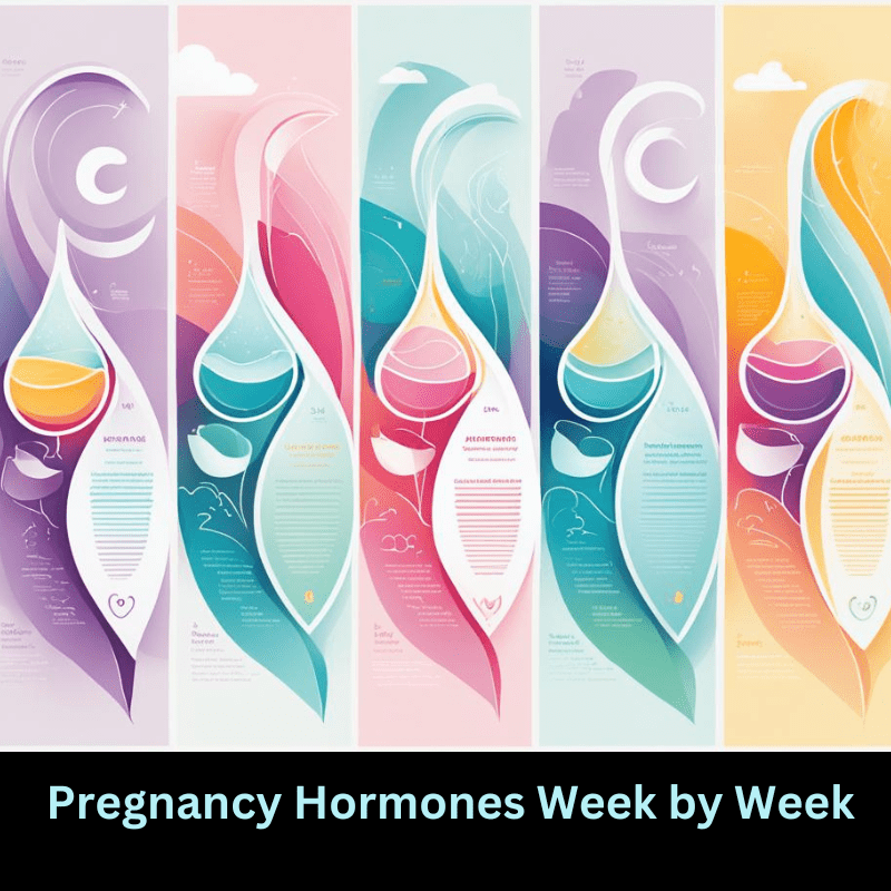 Pregnancy Hormones Week by Week